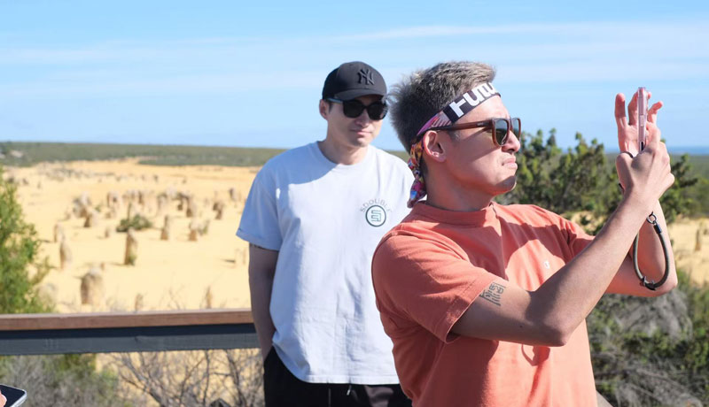 The Pinnacles Desert WA 4003