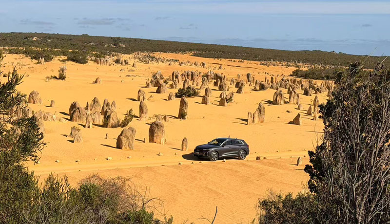 The Pinnacles Desert WA 4009