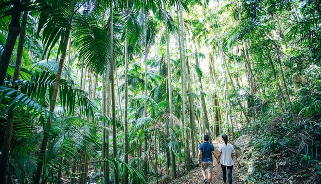 The Tastes of Tamborine Mountain 004 WEB