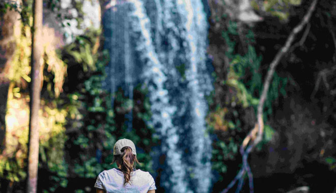 The Tastes of Tamborine Mountain 015 WEB