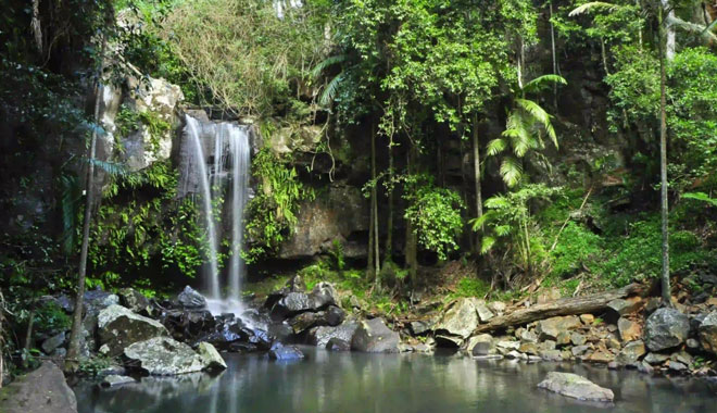 The Tastes of Tamborine Mountain 017 WEB