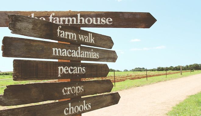 The farm 1