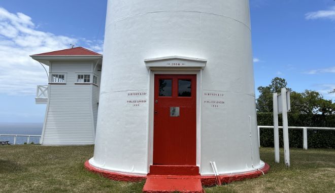 Tiritiri Matangi Island (10)