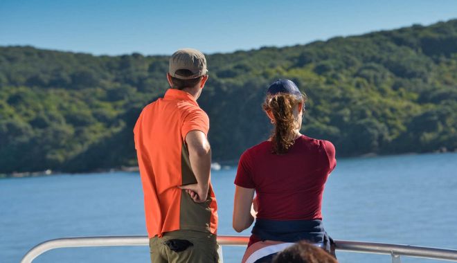 Tiritiri Matangi Island (2)