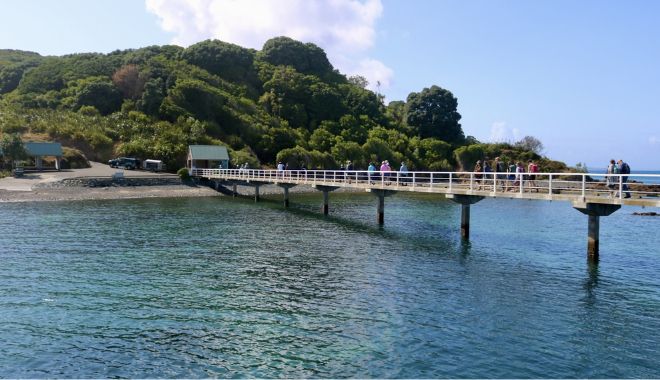 Tiritiri Matangi Island (4)