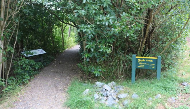 Tiritiri Matangi Island (6)