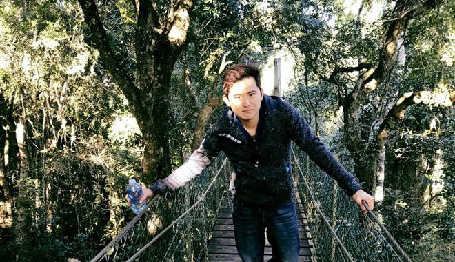 Tree Top Walk 1