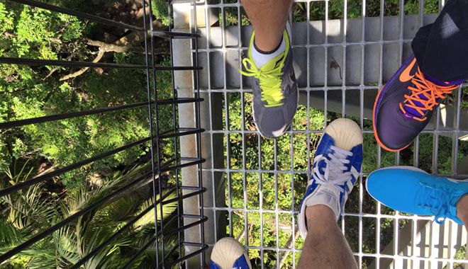 Tree Top Walk 3