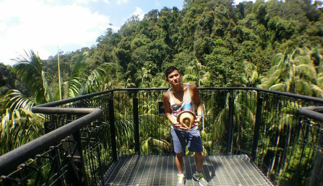 Tree Top Walk 5