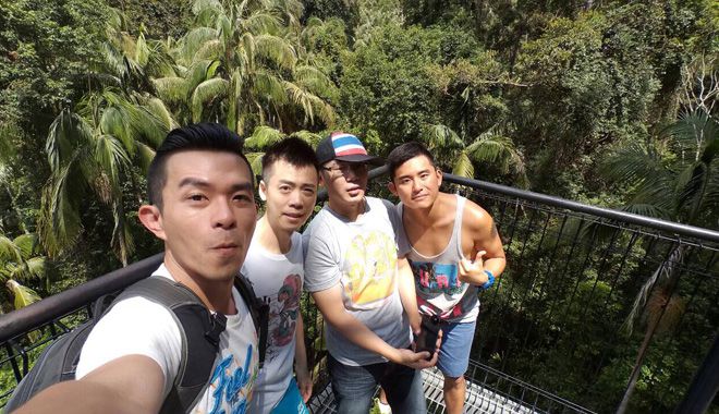 Tree Top Walk 6