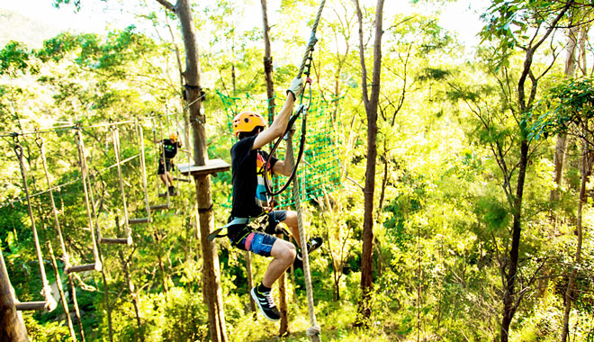 TreeTop Challenge Tamborine Mtn 001
