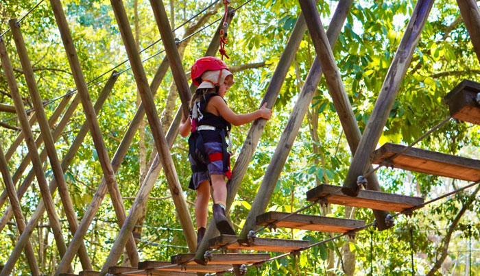 TreeTop Juniors 15 WEB tm tamborine 