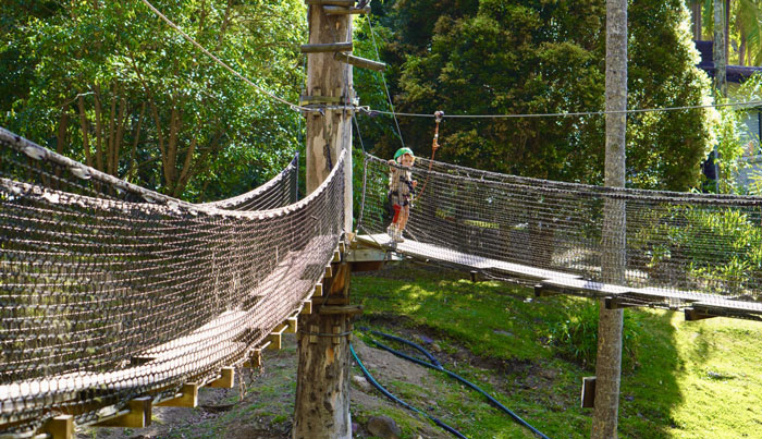 TreeTop Juniors 15 WEB tm tamborine 02