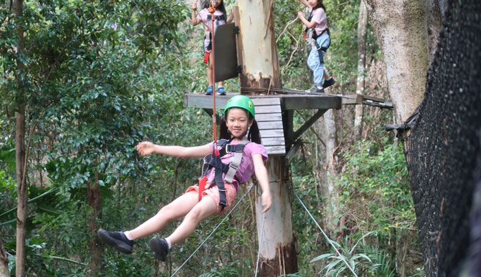 TreeTop Juniors 15 WEB tm tamborine  03
