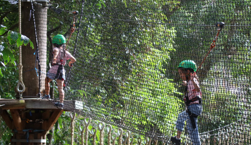 TreeTop Juniors 15 WEB tm tamborine 5
