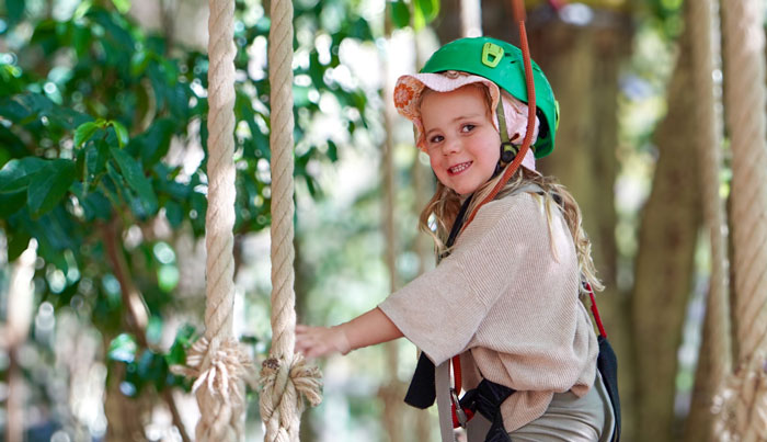 TreeTop Juniors 15 WEB tm tamborine 565