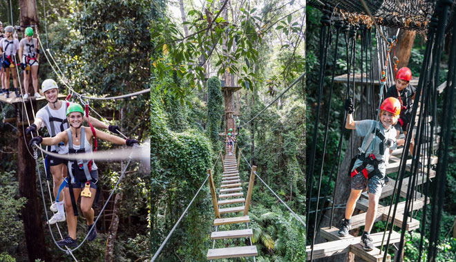 TreeTopChallenge SC 003