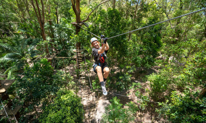 TreeTopChallenge2