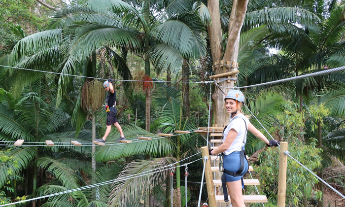 TreeTopChallenge4