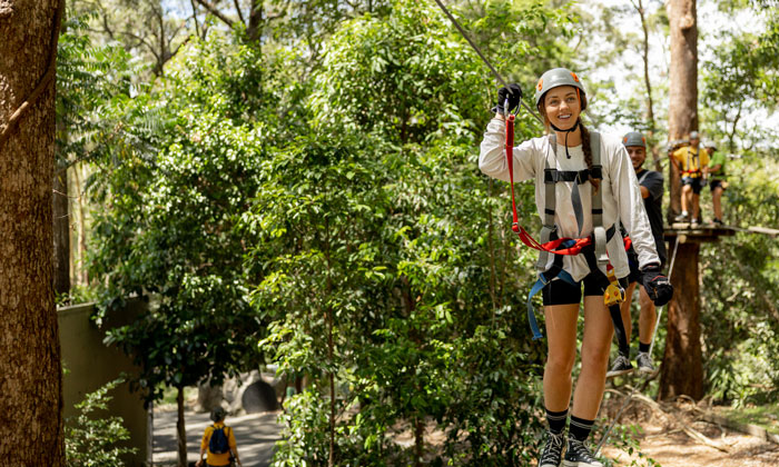 TreeTopChallenge6