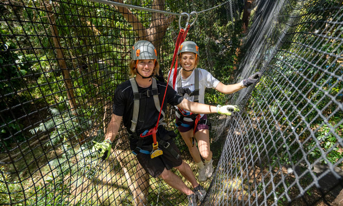 TreeTopChallenge7