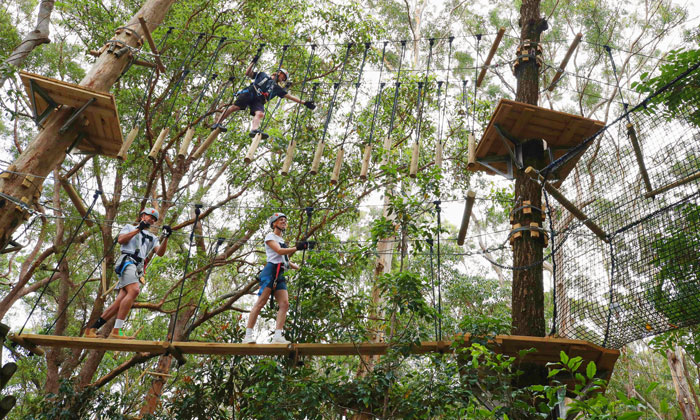 TreeTopChallenge9