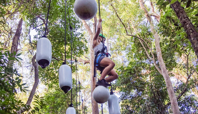 TreeTopChallenge SC 02