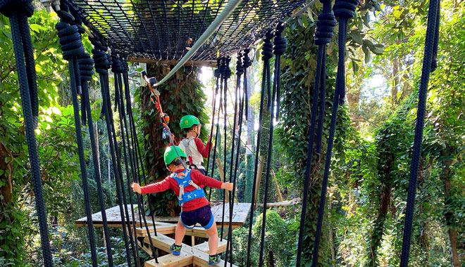 TreeTopChallenge SunshineCoast 002
