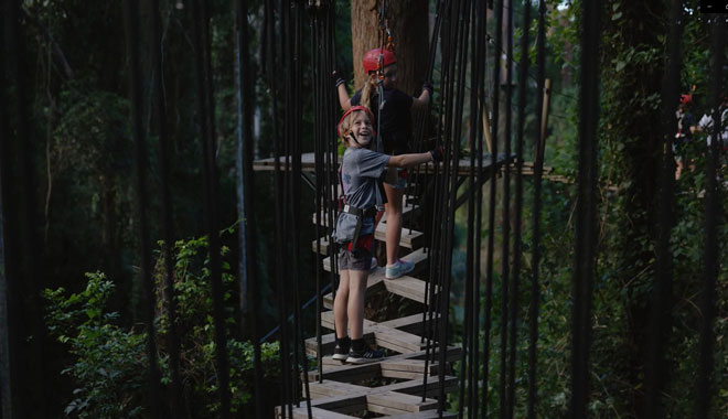 TreeTopChallenge SunshineCoast 003