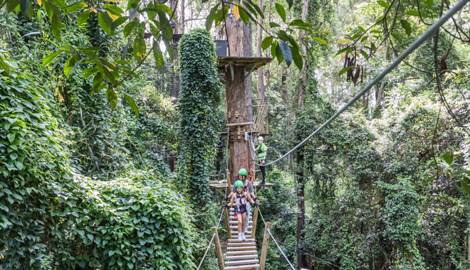 TreeTopChallenge SunshineCoast 009