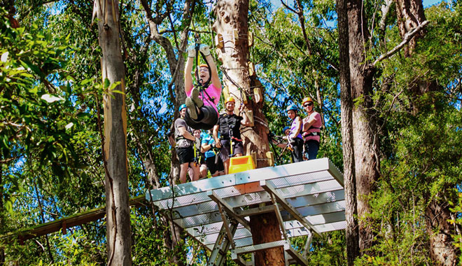 Treetop Challenge Canyon Flyer 001