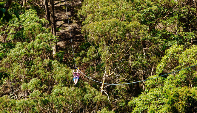 Treetop Challenge Canyon Flyer 002