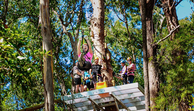Treetop Challenge Canyon Flyer 019