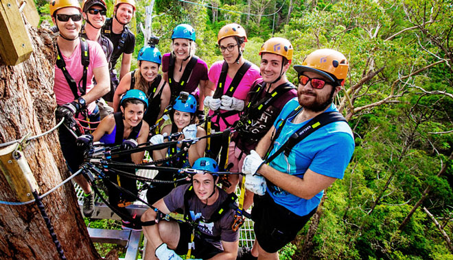 Treetop Challenge Canyon Flyer 025