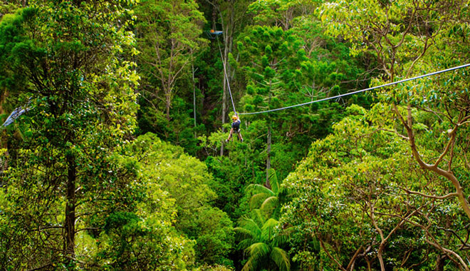 Treetop Challenge Canyon Flyer 026