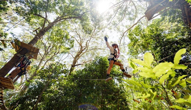Treetop Challenge Currumbin 001