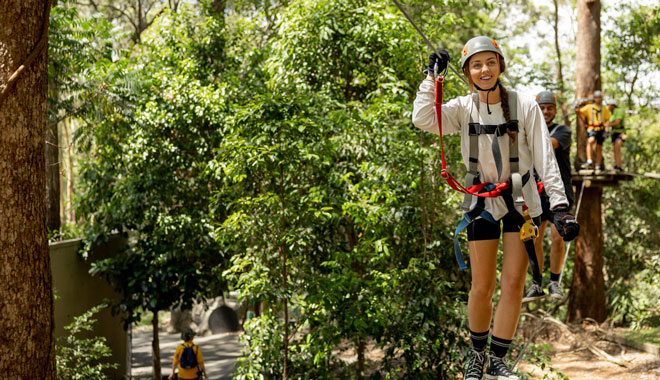 Treetop Challenge Currumbin 003