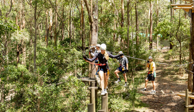 Treetop Challenge Currumbin 005