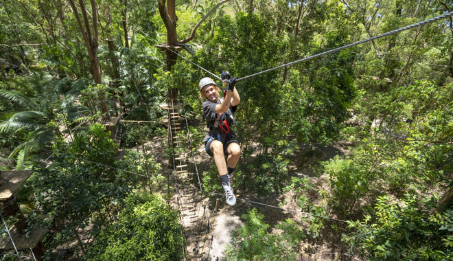 Treetop Challenge Currumbin 007