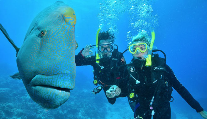 Tusa11