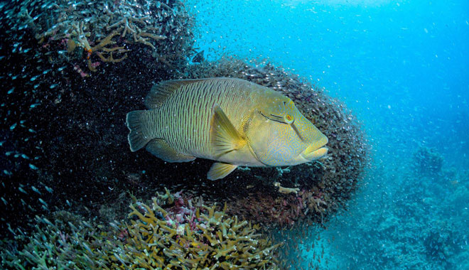 Tusa13
