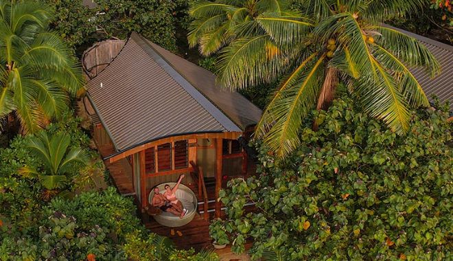 ULTIMATE Reef sharks ENCOUNTER 2D1N (3)