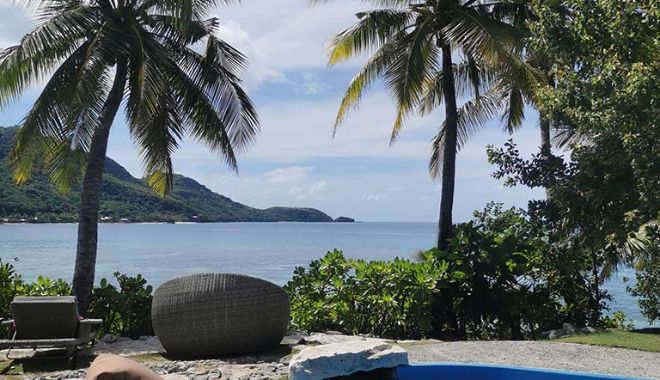 ULTIMATE Reef sharks ENCOUNTER 2D1N (4)