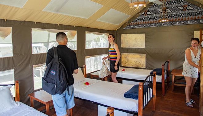 ULTIMATE Reef sharks ENCOUNTER 2D1N (5)