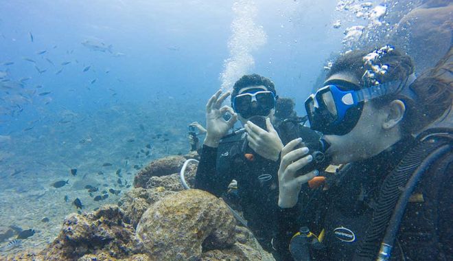 ULTIMATE Reef sharks ENCOUNTER 2D1N (7)