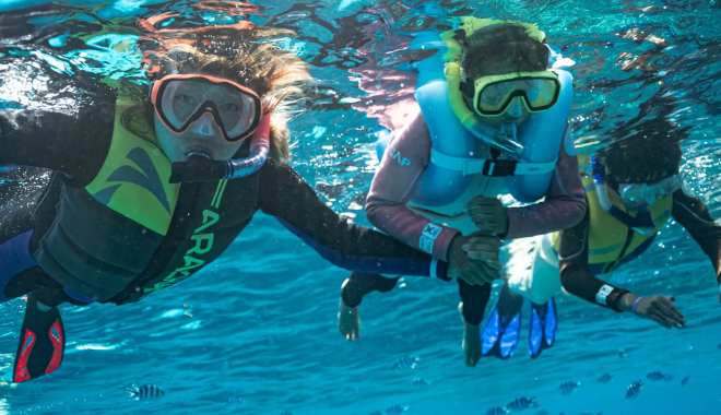 Ultimate Encounters Snorkel With Sharks (4)