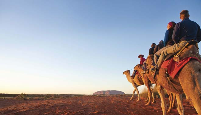 Uluru Camel Tours, Red Centre