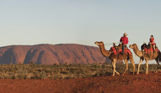 Uluru Camel Tours 10