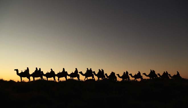 Uluru Camel Tours 4