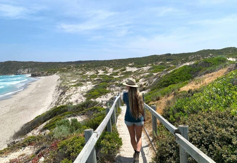 Untamed kangaroo island 3days camping 004